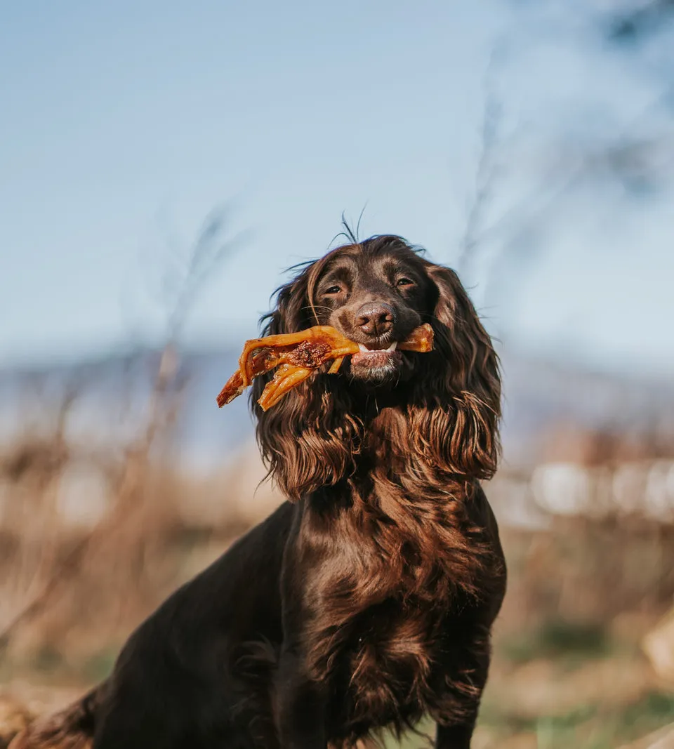 Anco Naturals | Natural Dog Treat | Goose Foot - Single