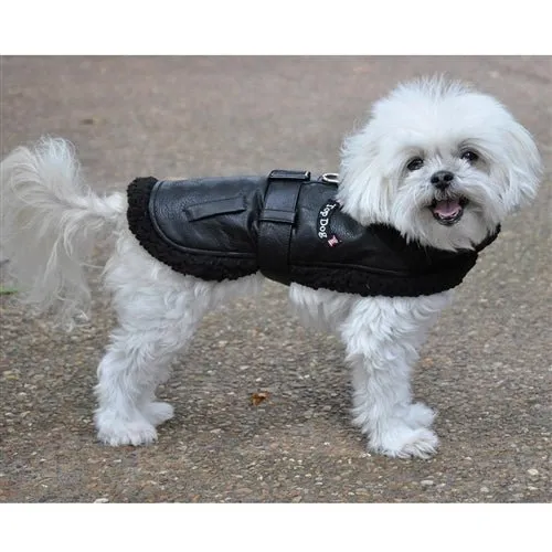 Black Top Dog Flight Coat with Leash