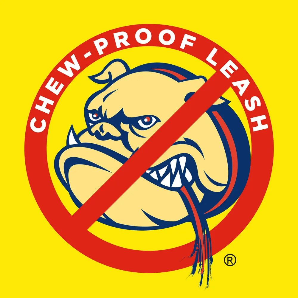 Chew-Proof® Leashes (Cable Filled)