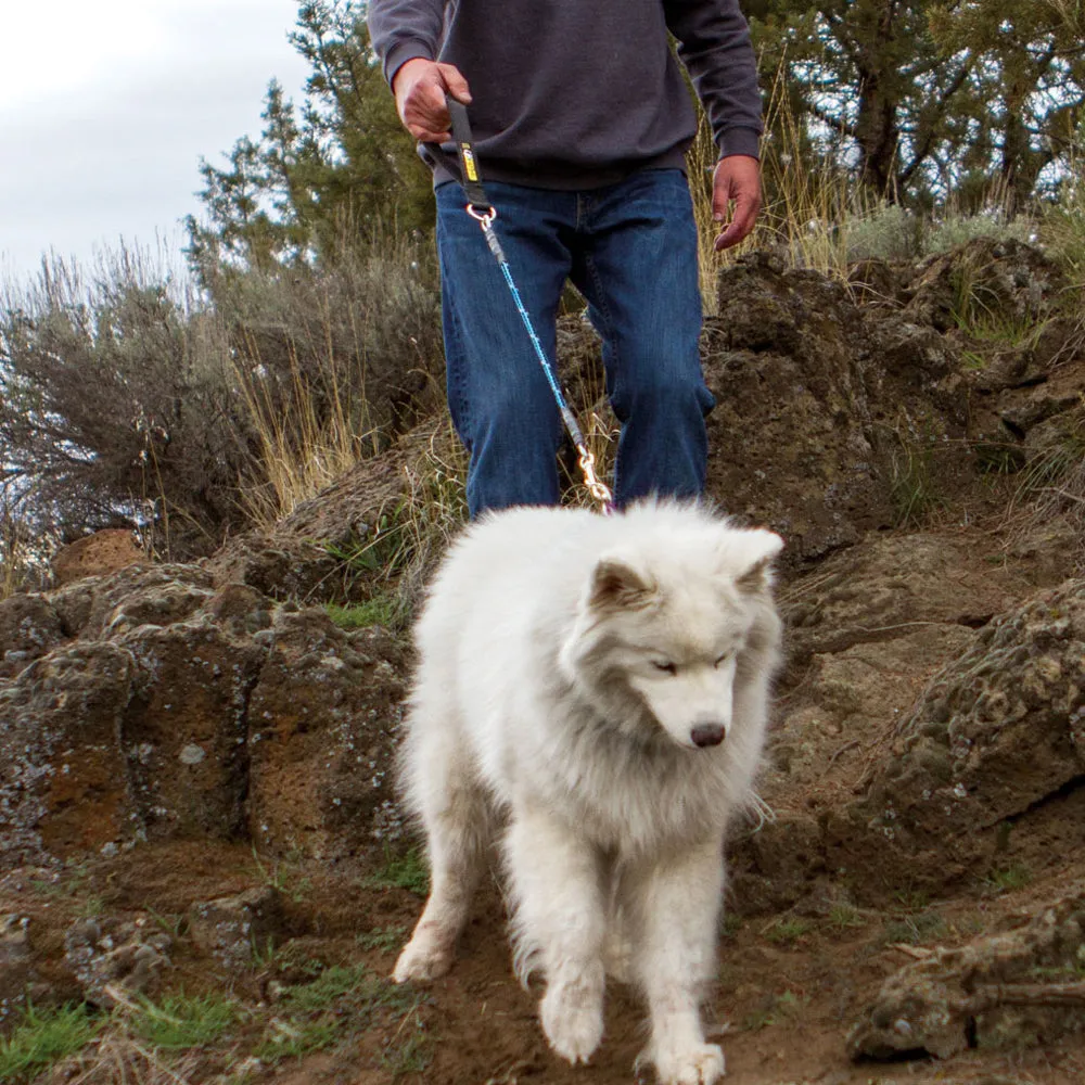 Chew-Proof® Leashes (Cable Filled)