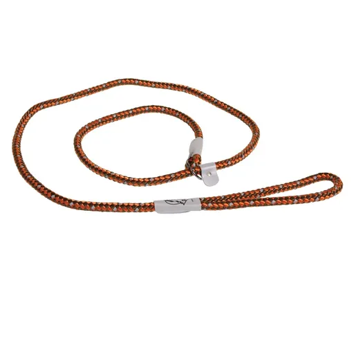 Coastal K9 Explorer Reflective Rope Slip Leash