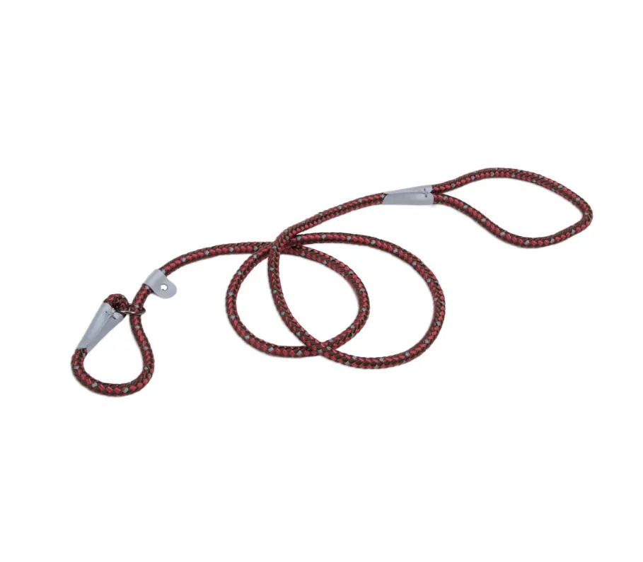 Coastal K9 Explorer Reflective Rope Slip Leash