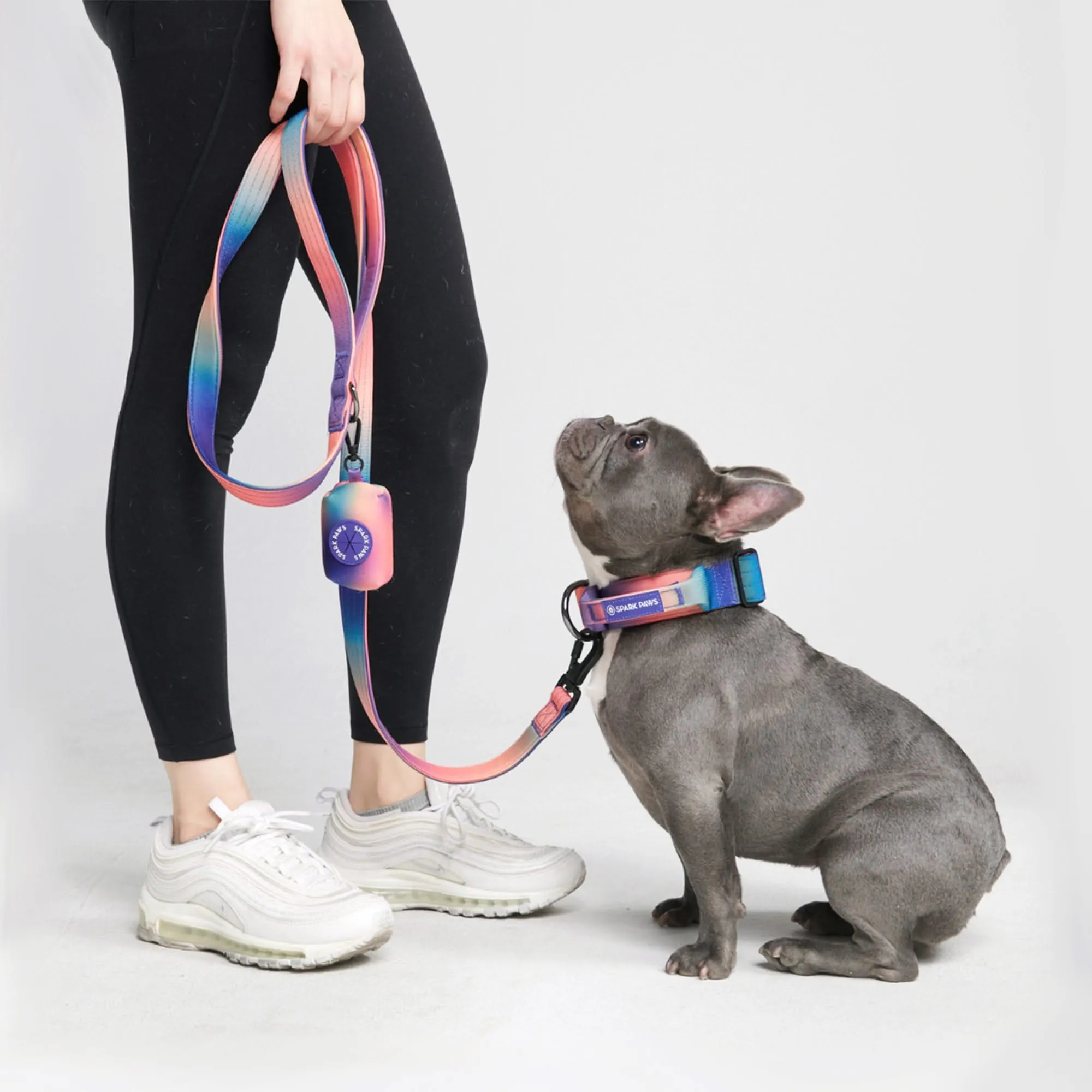 Comfort Control Dog Leash - Kaleidoscope