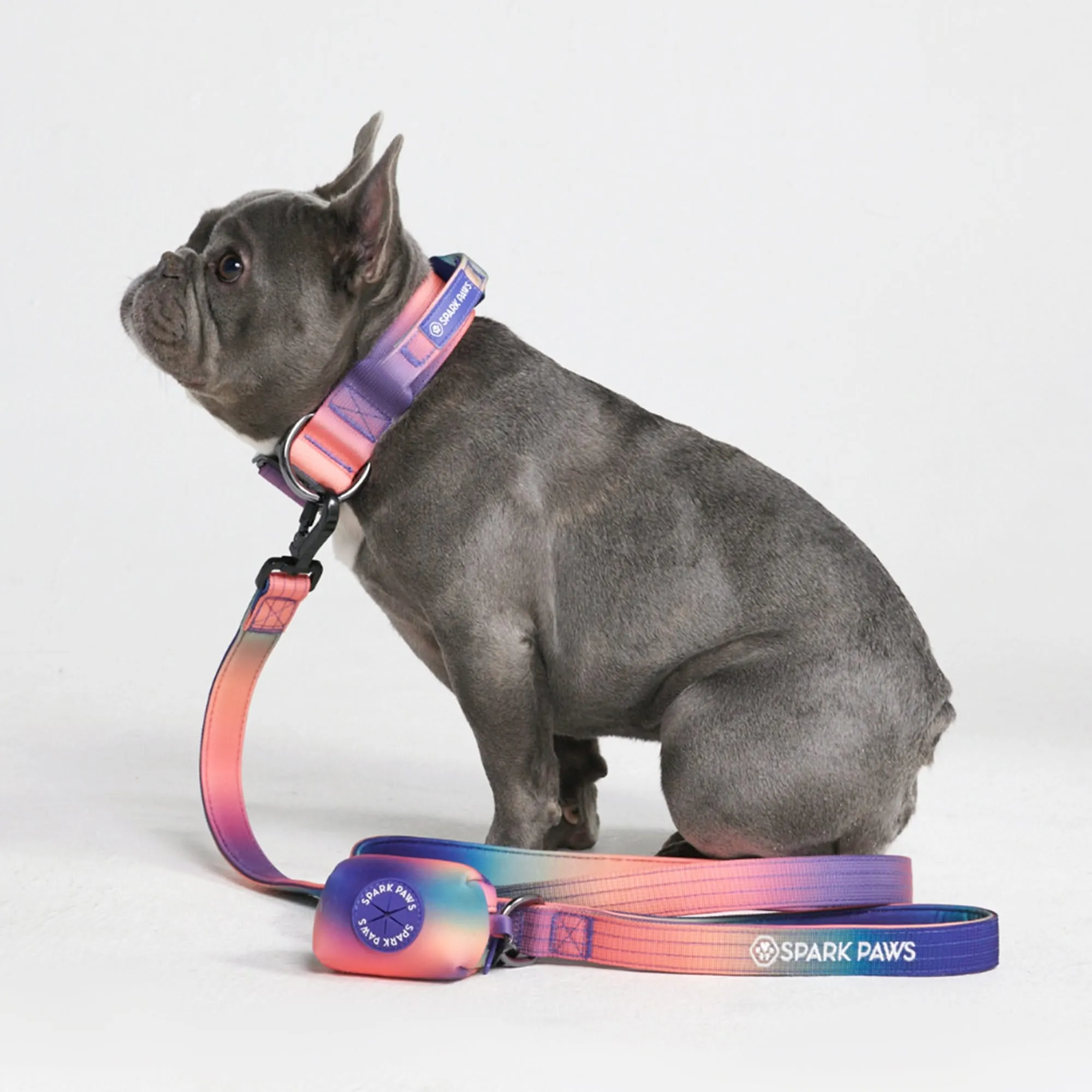 Comfort Control Dog Leash - Kaleidoscope