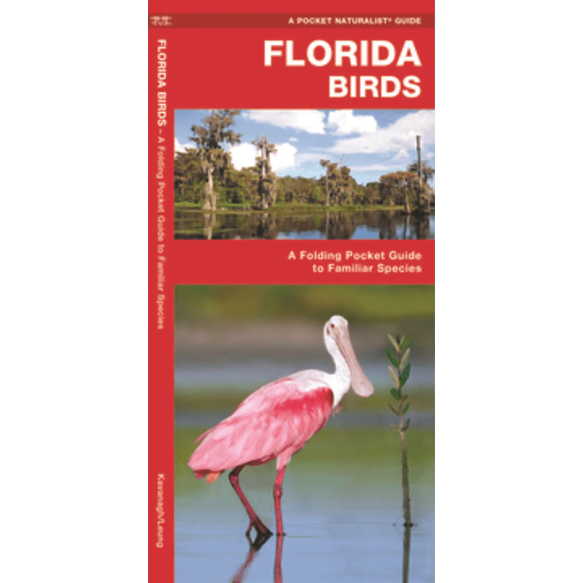 Florida Birds: A Folding Pocket Guide to Familiar Species