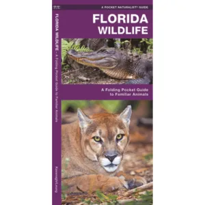 Florida Wildlife: A Folding Pocket Guide to Familiar Animals