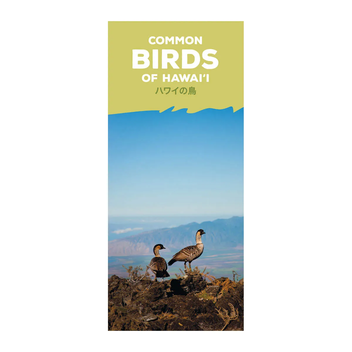 Hawaii Pocket Guides: Common Birds Of Hawaii, translated by Hiroshi Nakata