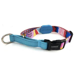 HiDREAM Profusion Martingale Dog Collar (Mountain Stamp)