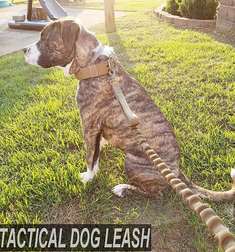 k9 leash; Bungee Dog Leash Tactical Dog Leash Nylon Adjustable Tactical Leash for Dogs Quick Release Military Dog Leash with 2 Control Handle; Bungee trap