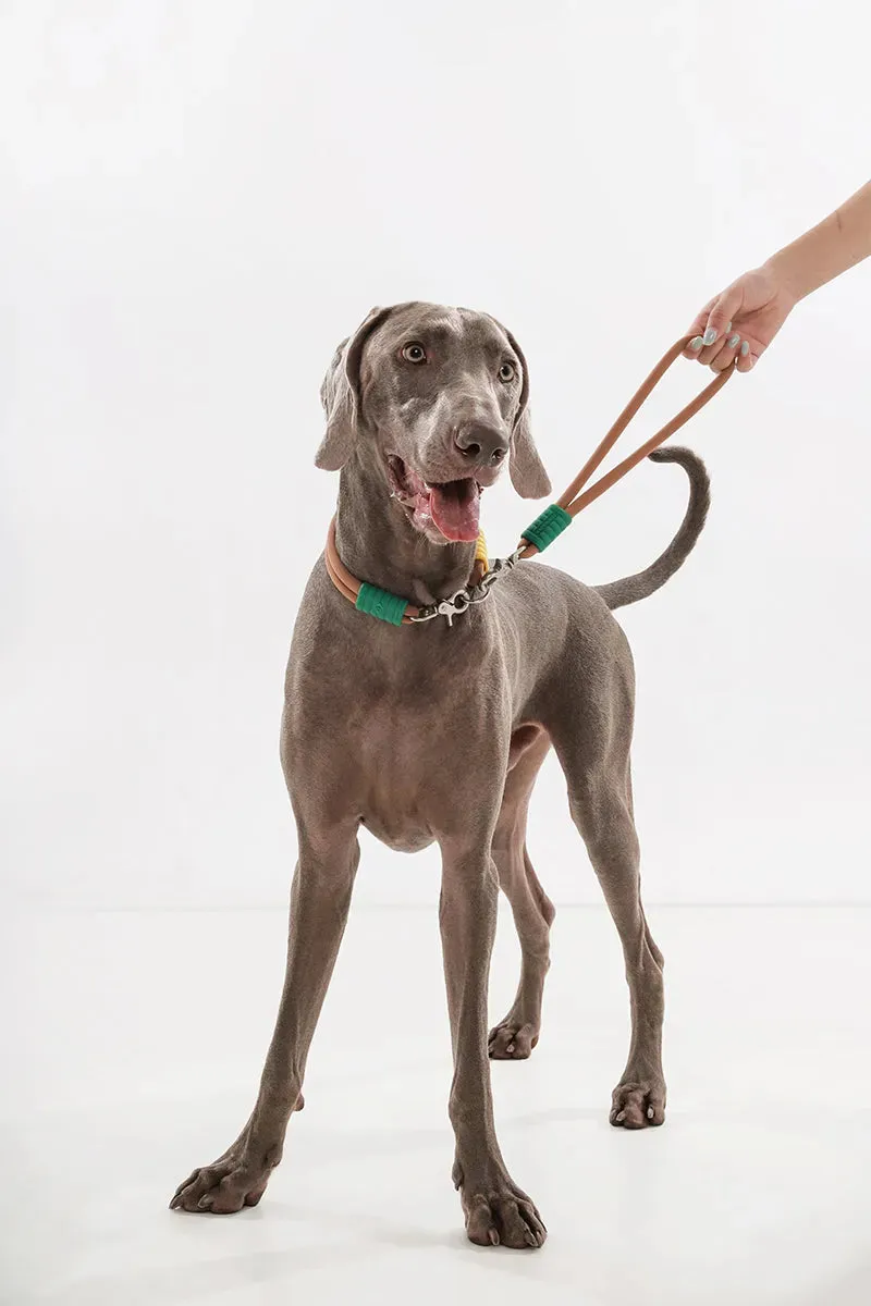 Marshmallow Short Dog Leash