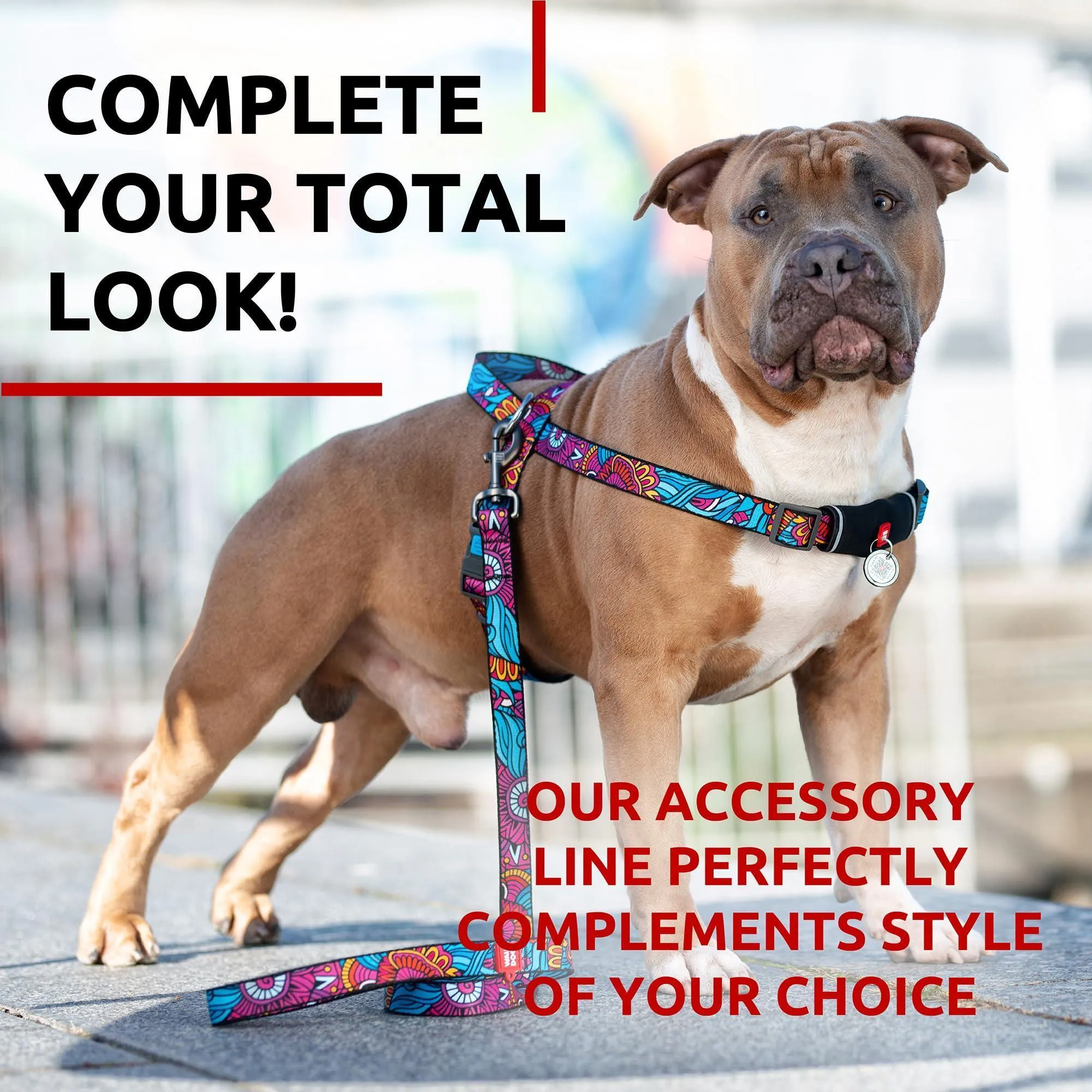 Nylon Dog Leash for Medium and Large Dogs 4 Ft x 1 inch Wide Summer Color