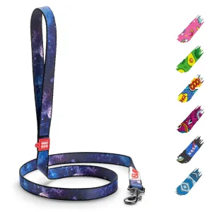 Nylon Dog Leash for Small Dogs and Medium Dogs 4 Ft x 3/5 inch Wide NASA Color