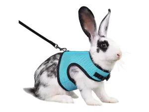 Rabbit Harness Blue