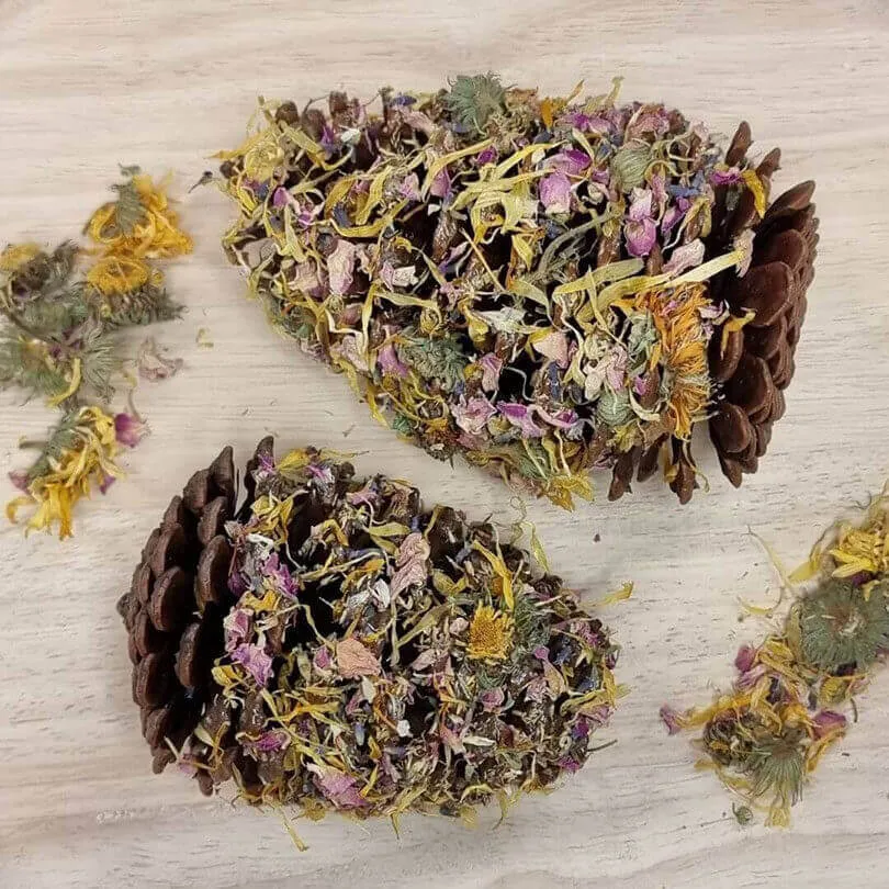 Raw for Birds Floral Pinecone Chew 2 Pack