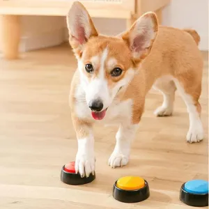 Recordable Talking Button Toy for Pets