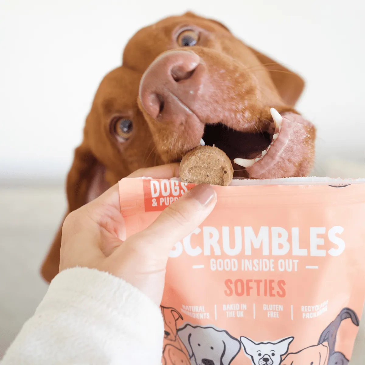 Softies: Chicken & Duck Dog Treats