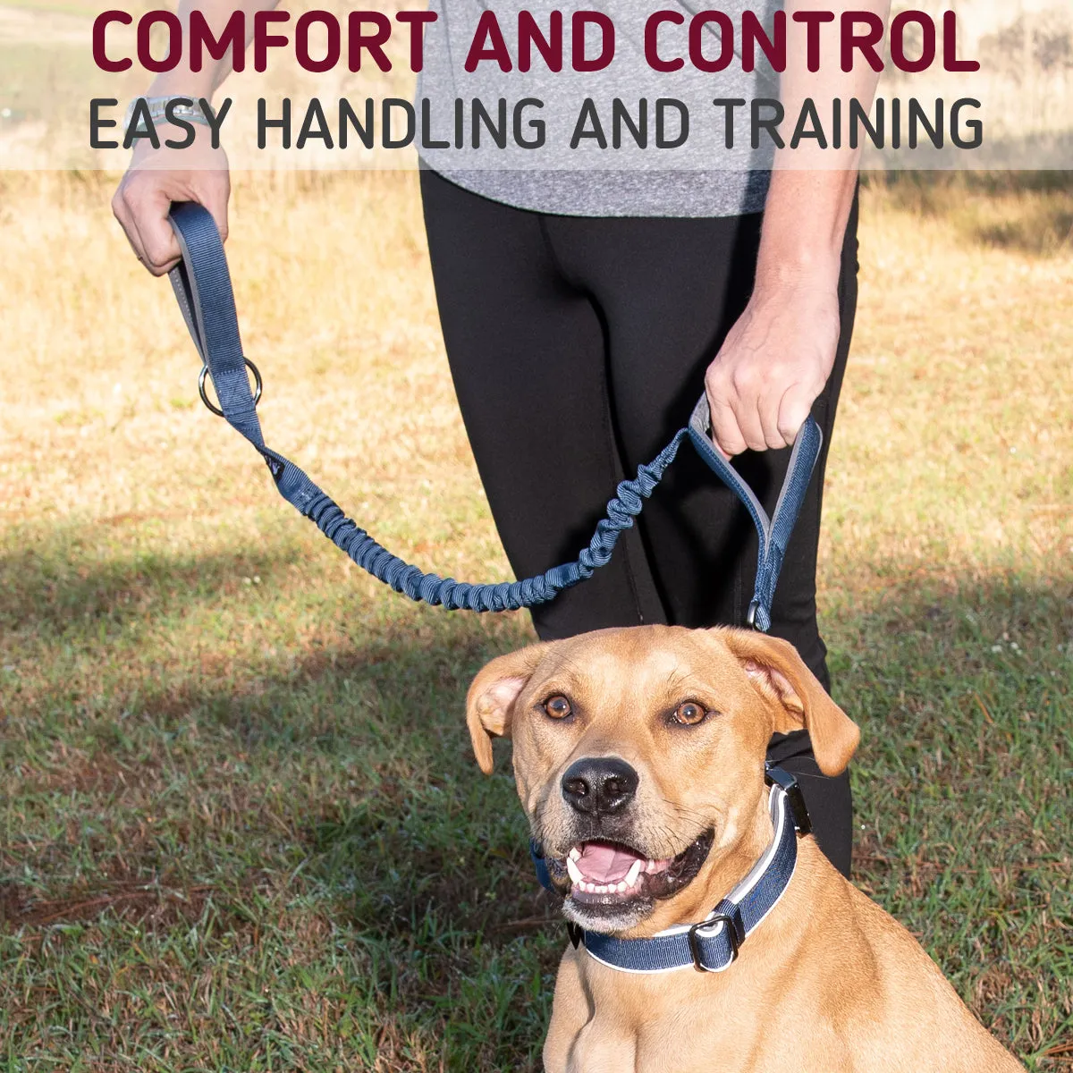 Tactical Dog Leash with Two Handles and Bungee Length