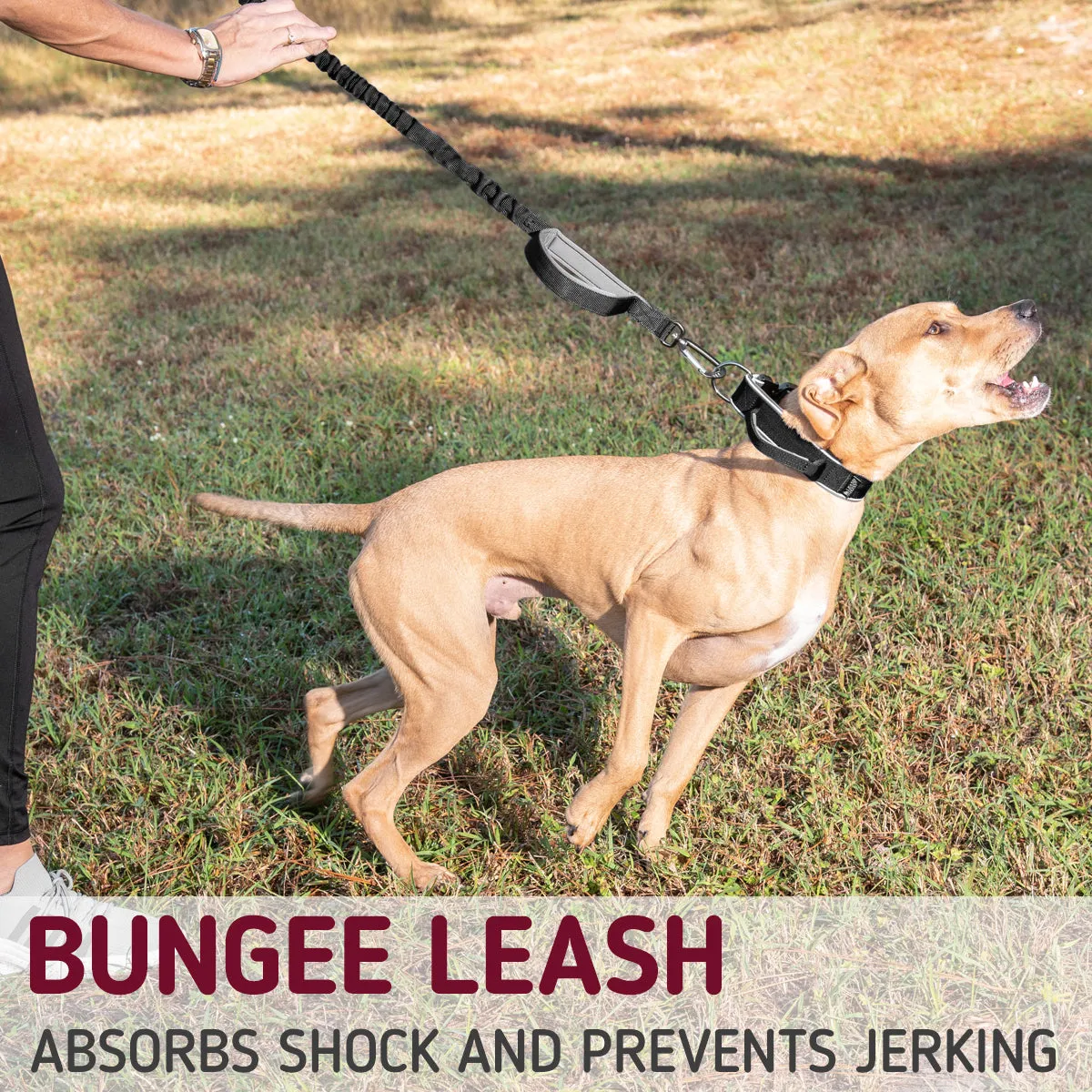 Tactical Dog Leash with Two Handles and Bungee Length