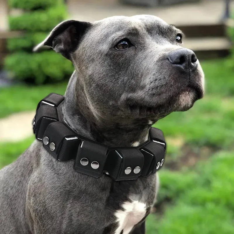 TacticalK9™️ Large Dog Training Collar