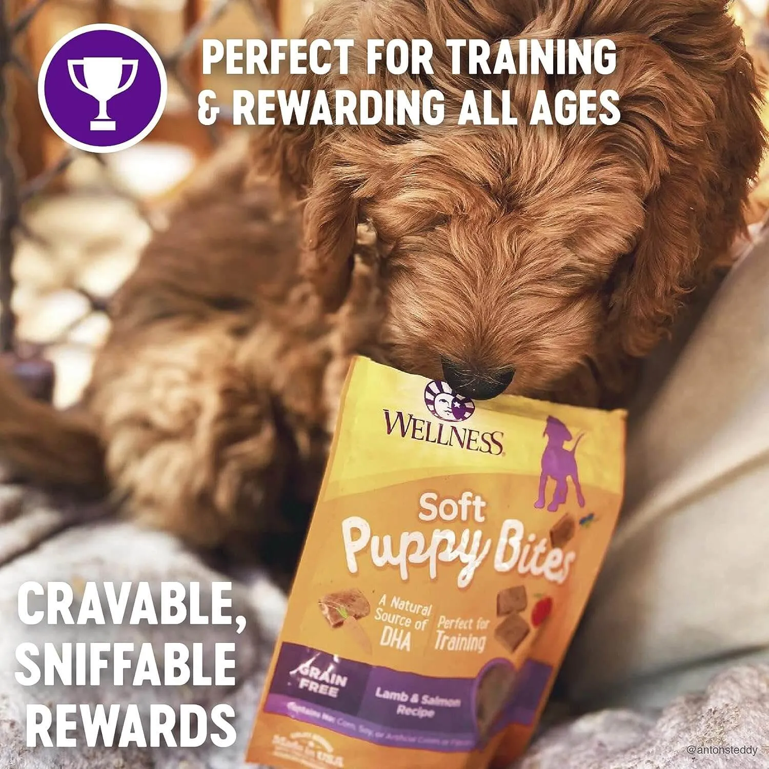 Wellness Just For Puppy Treats